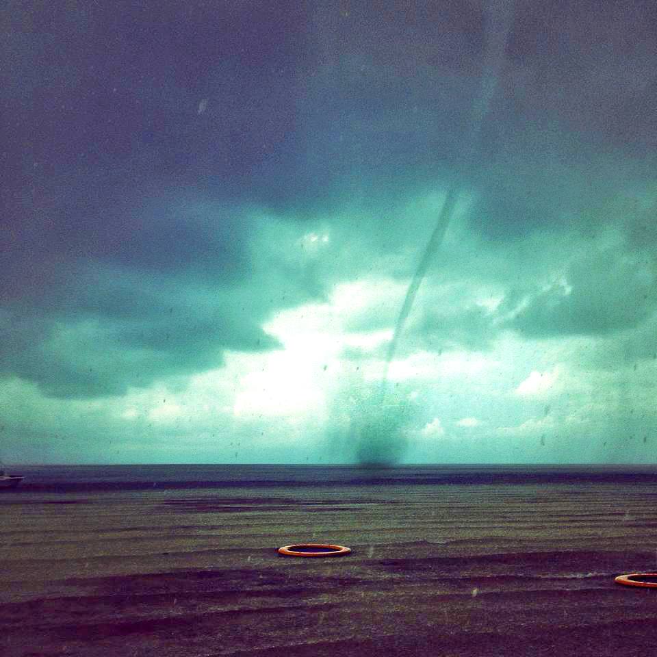 Bermudian Water Sprout 